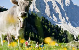 Dolomitenurlaub 2