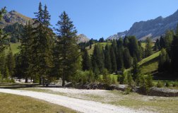 Vacanze Dolomiti 3