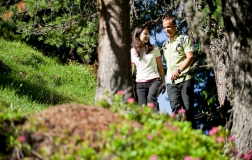 Hiking-holiday in the Dolomites 4