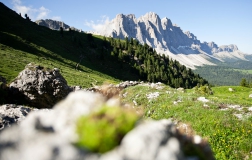 Wanderurlaub Dolomiten 6