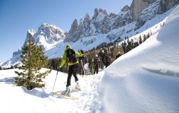 Winter-holidays in the Dolomites 2